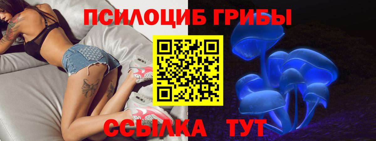 где найти наркотики  Галлюциногенные грибы прущие грибы  Вход с VPN  Карабулак  Галлюциногенные грибы ЛСД 